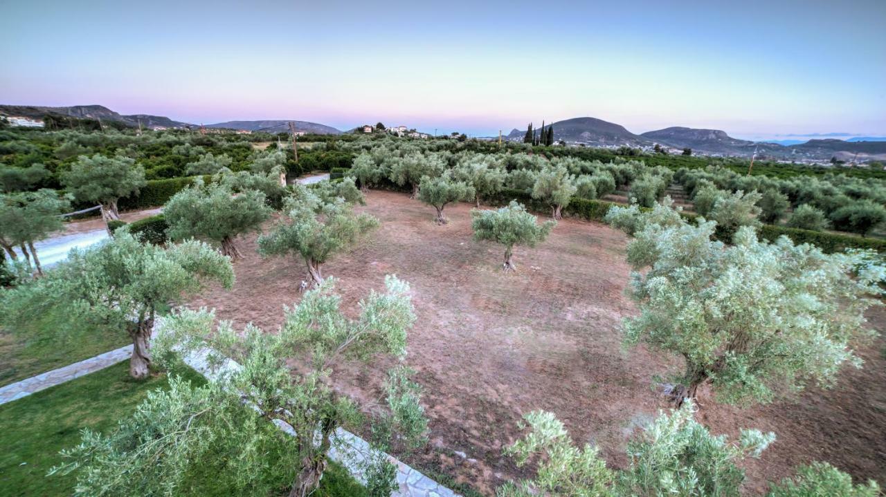 Agroktima Elia Apartment Nafplio Bagian luar foto
