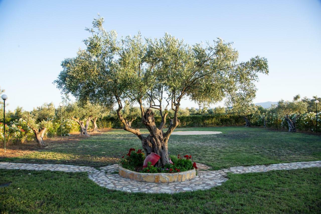 Agroktima Elia Apartment Nafplio Bagian luar foto